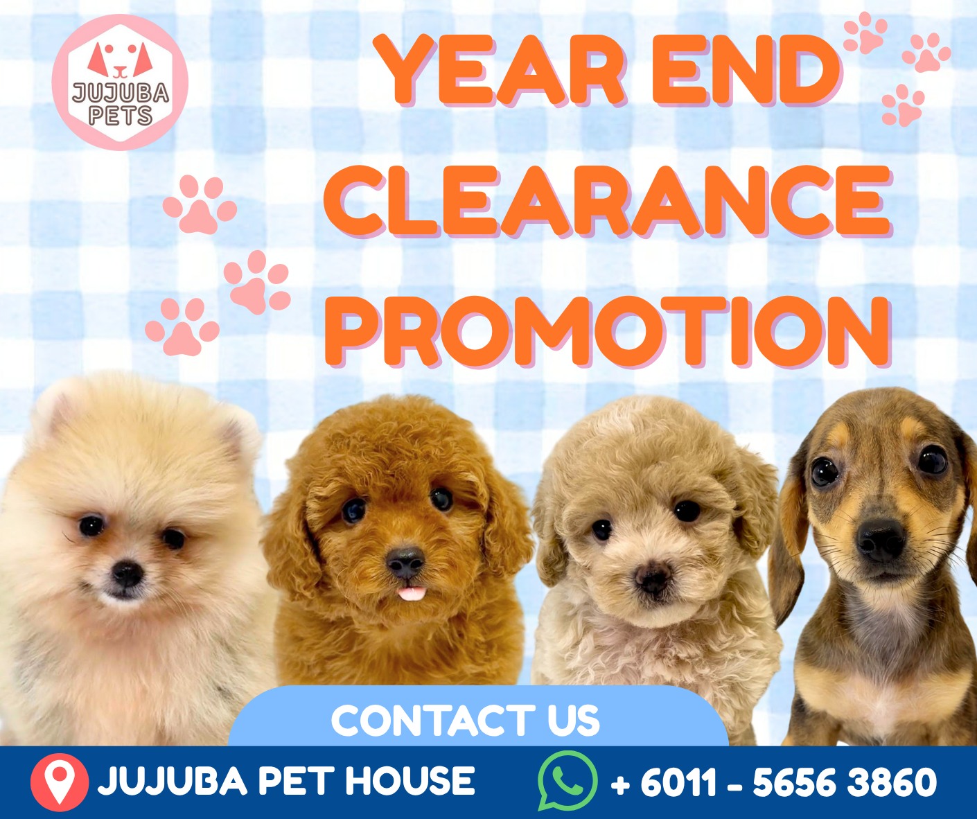 JuJuba Pets 聚聚吧 宠物宝宝の家 Facebook ad