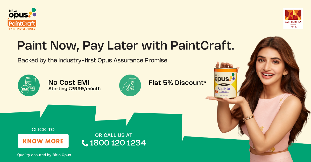 Birla Opus PaintCraft Facebook ad from Aug 18, 2026