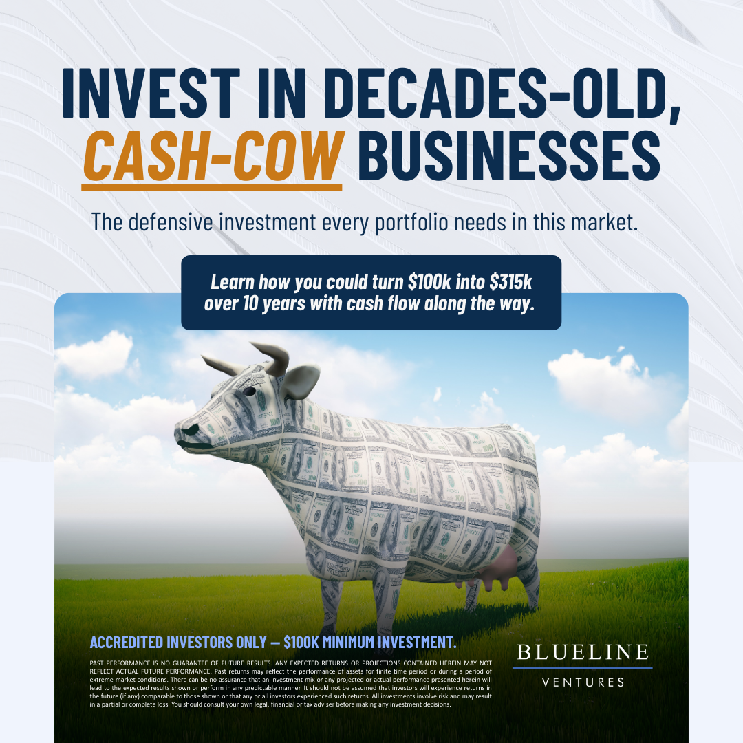 Blueline Ventures Facebook ad