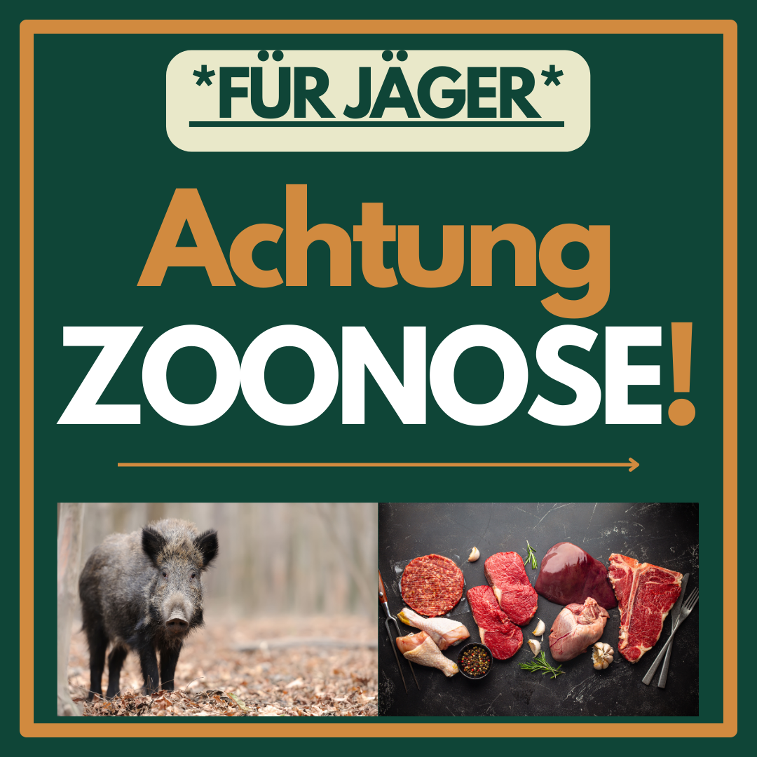 Wildkrankheiten A-Z Facebook ad: 0€ LIVE-Webinar: ZOONOSEN bei der JAGD!
