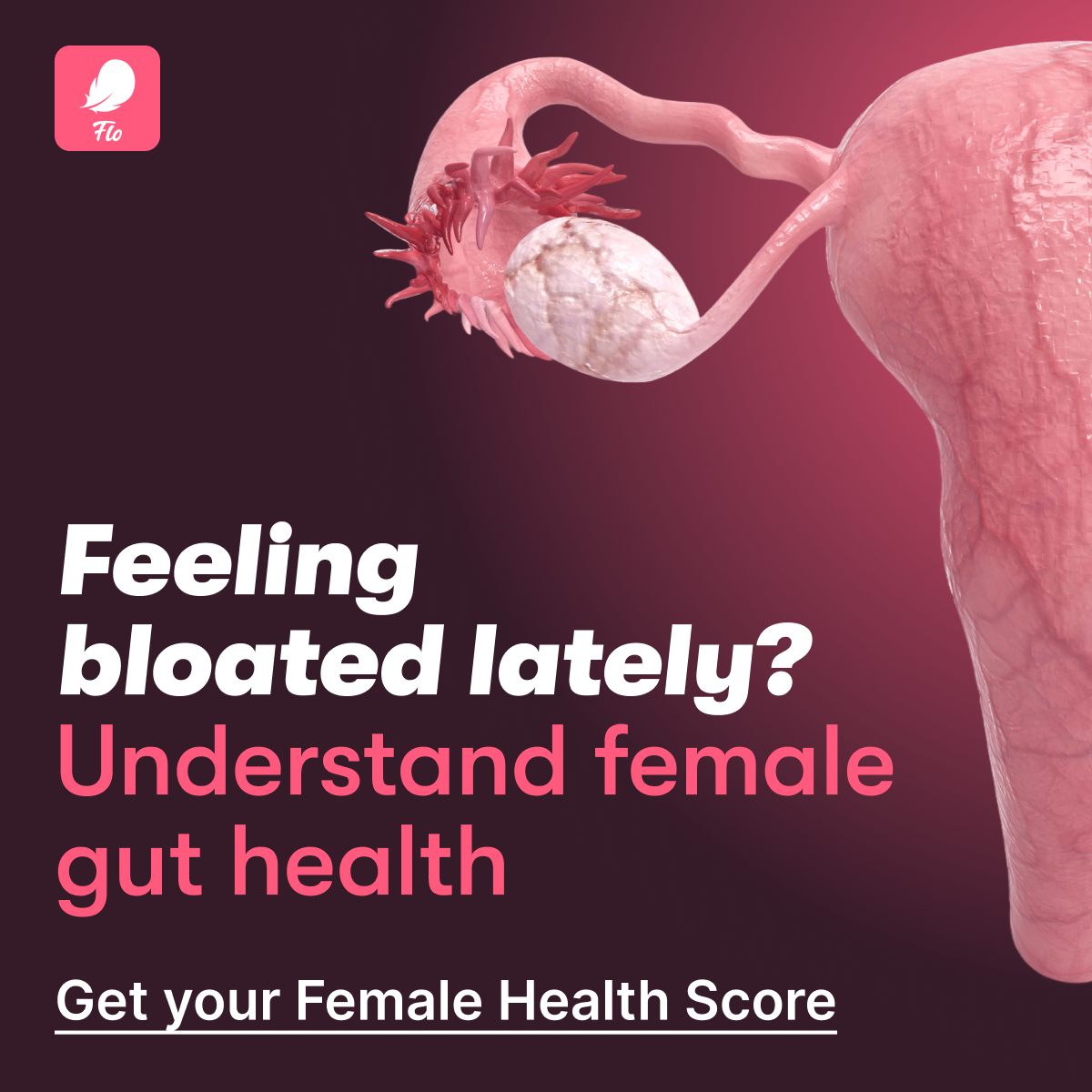 Flo Period Tracker App Facebook ad