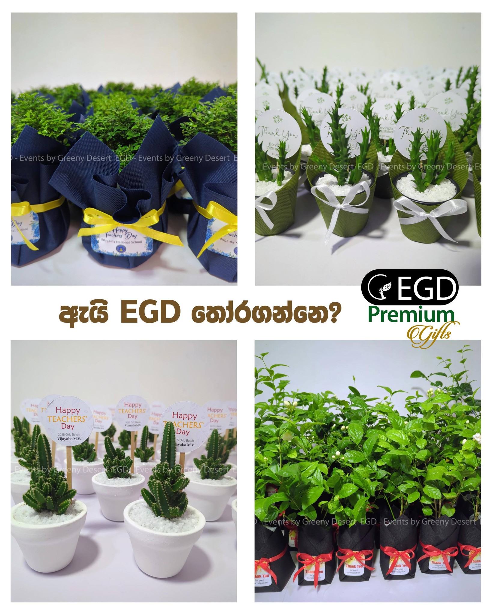 EGD - Events by Greeny Desert Facebook ad: ඇයි EGD තෝරගන්න ඕන?
