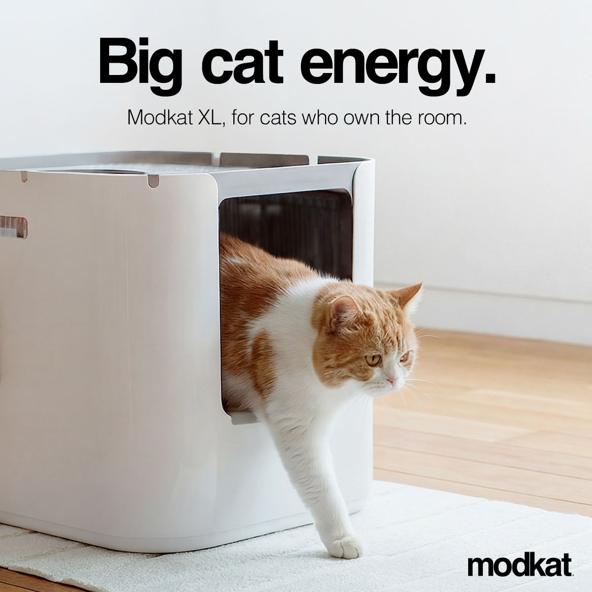 Modkat Facebook ad