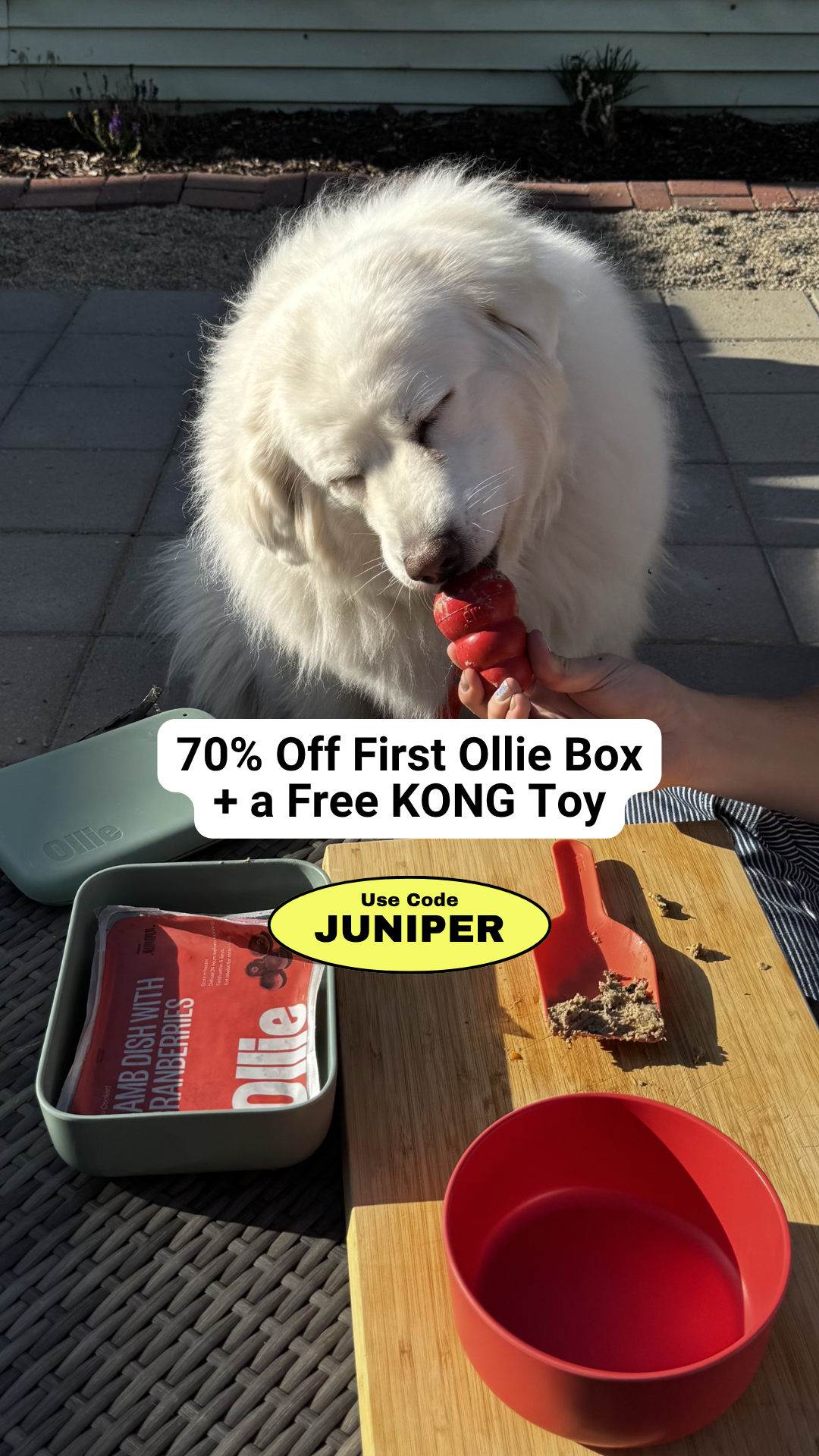 Juniper- The best online community for dog parents Facebook ad