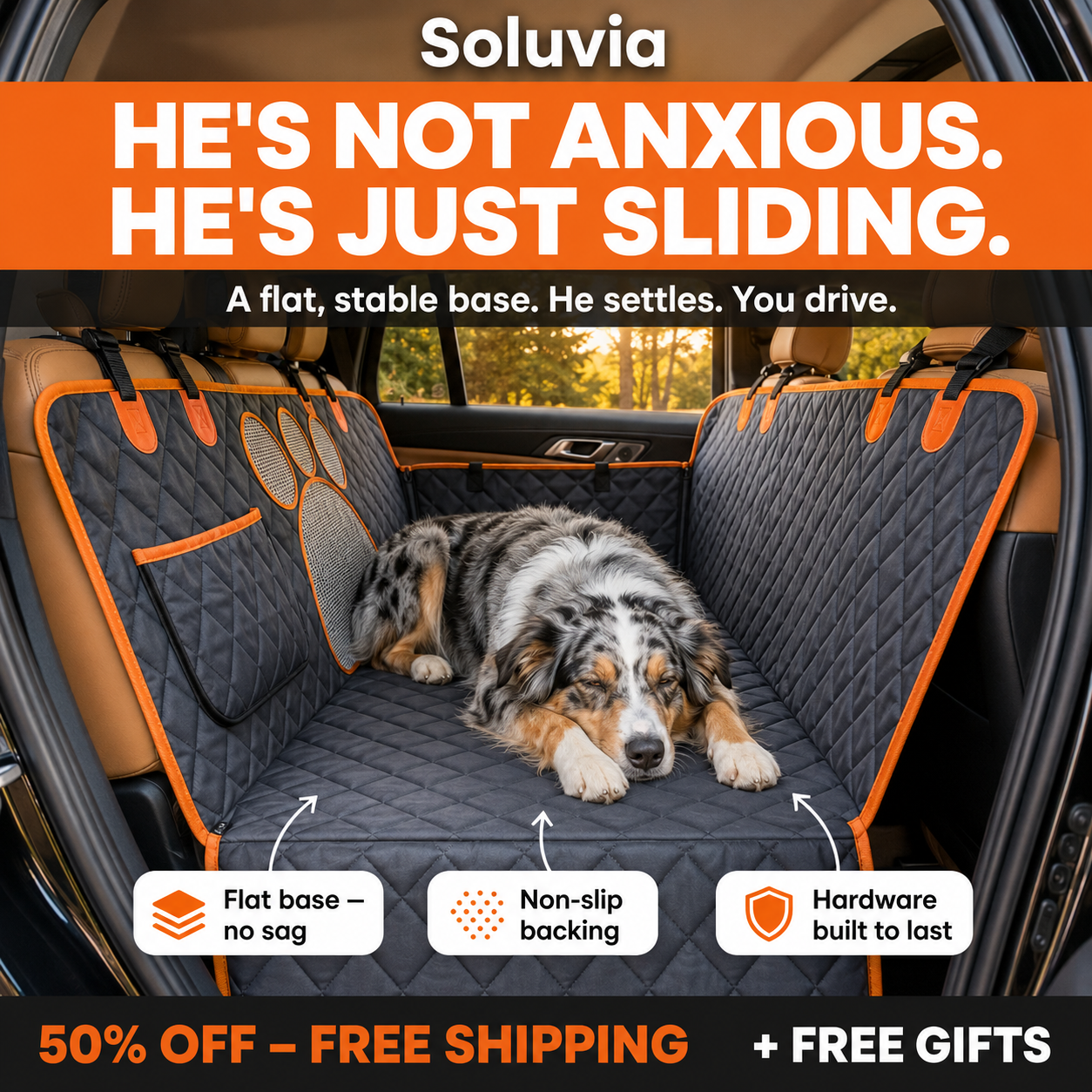 Soluvia Facebook ad: Your Dog Deserves Better.