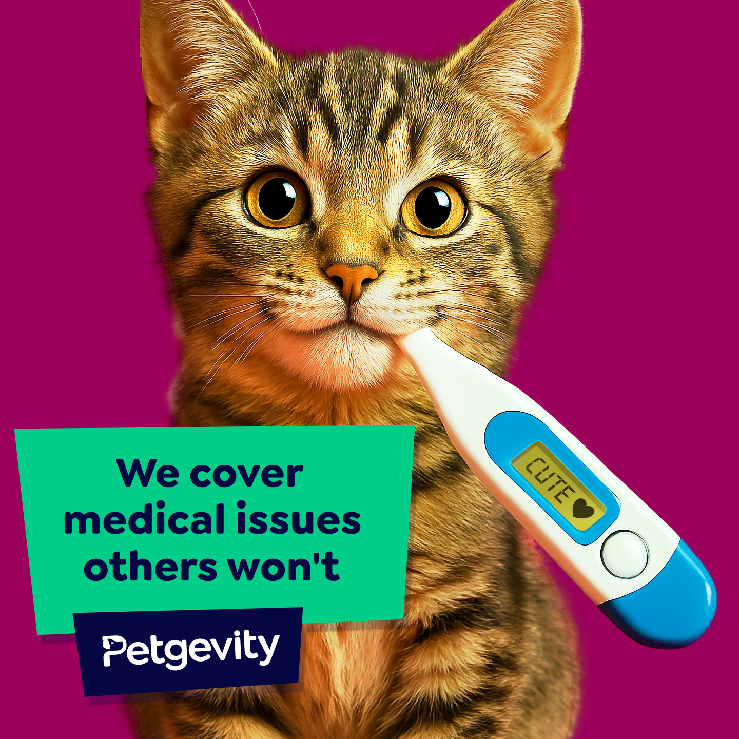 Petgevity UK Facebook ad