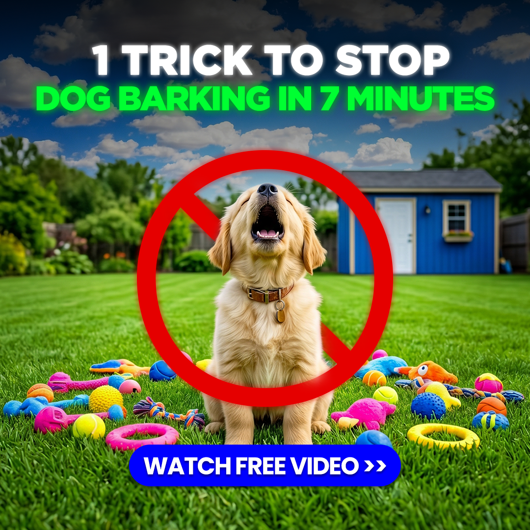 Mike James Dog Training Facebook ad
