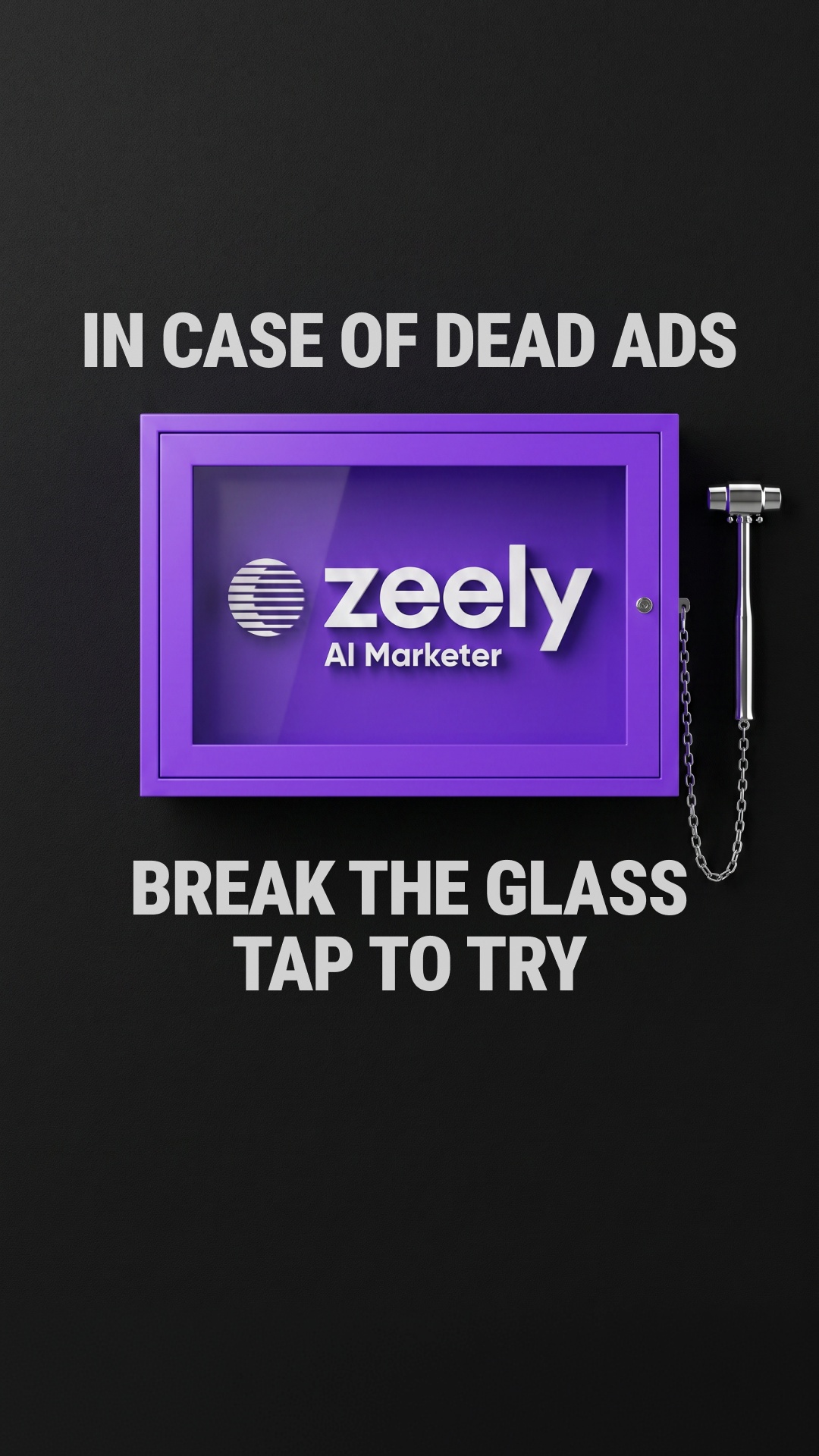 Zeely Facebook ad