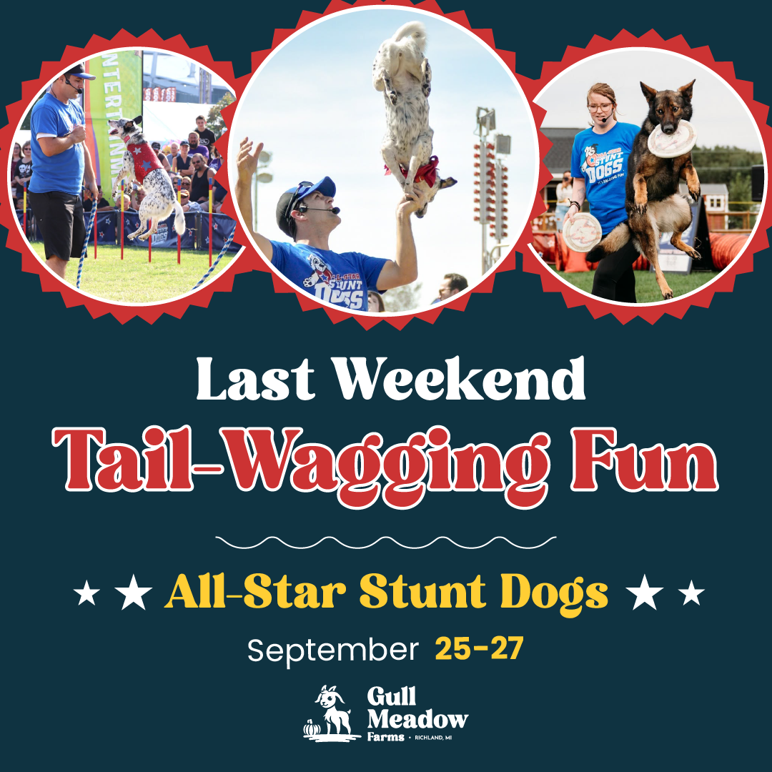 Gull Meadow Farms Facebook ad: All Star Stunt Dog Show @ Gull Meadow Farms