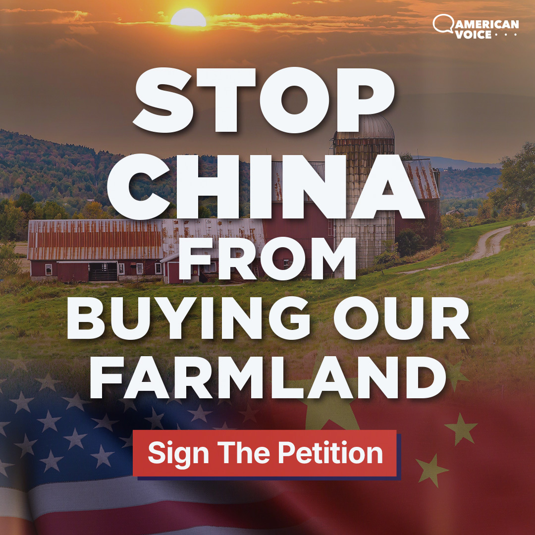 American Voice Facebook ad: Sign the petition!