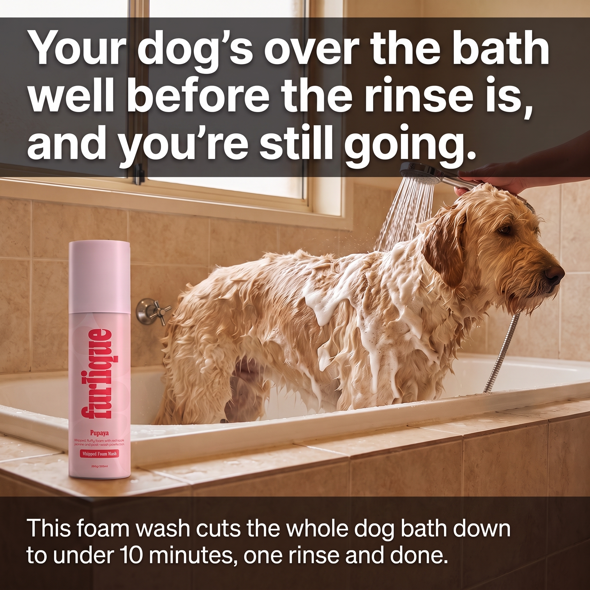 Furlique Facebook ad