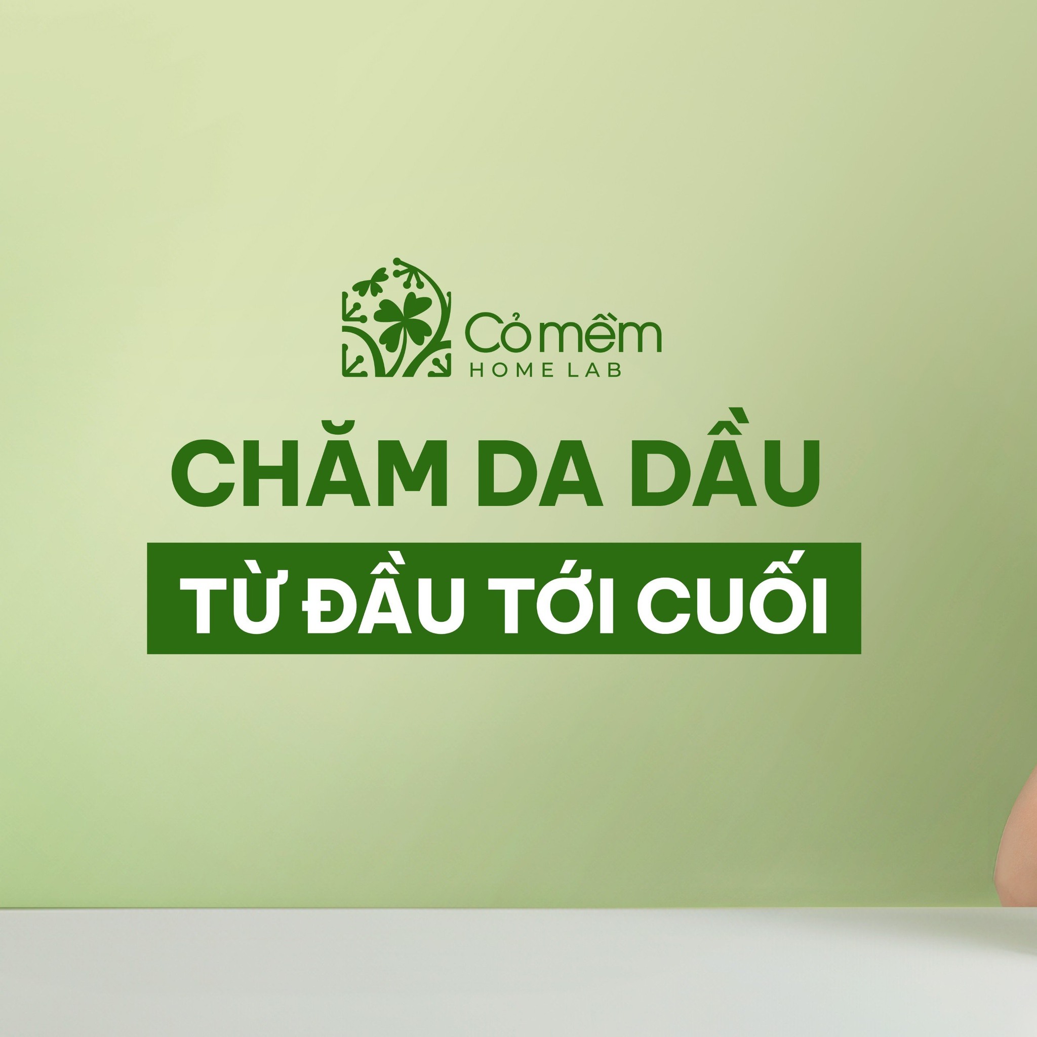 Cỏ mềm HomeLab Facebook ad