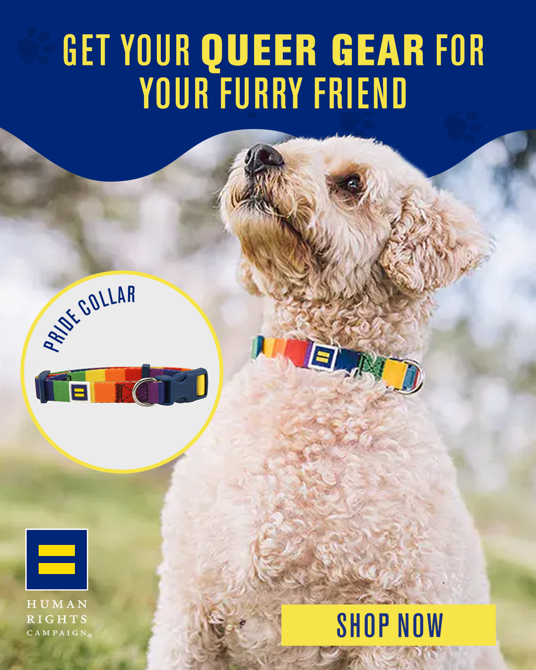 Human Rights Campaign Facebook ad