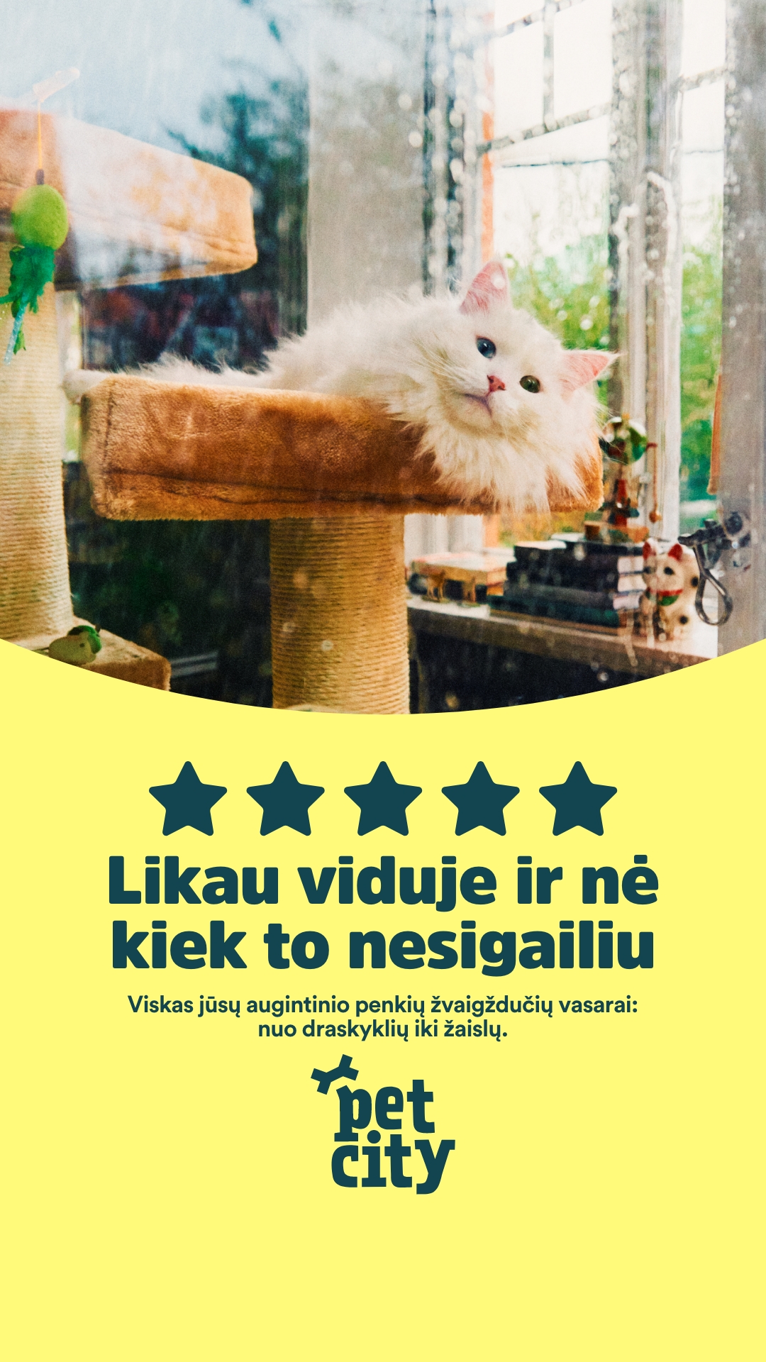 PetCity Lietuva Facebook ad
