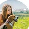 The Kangaroo Dog Treat Company