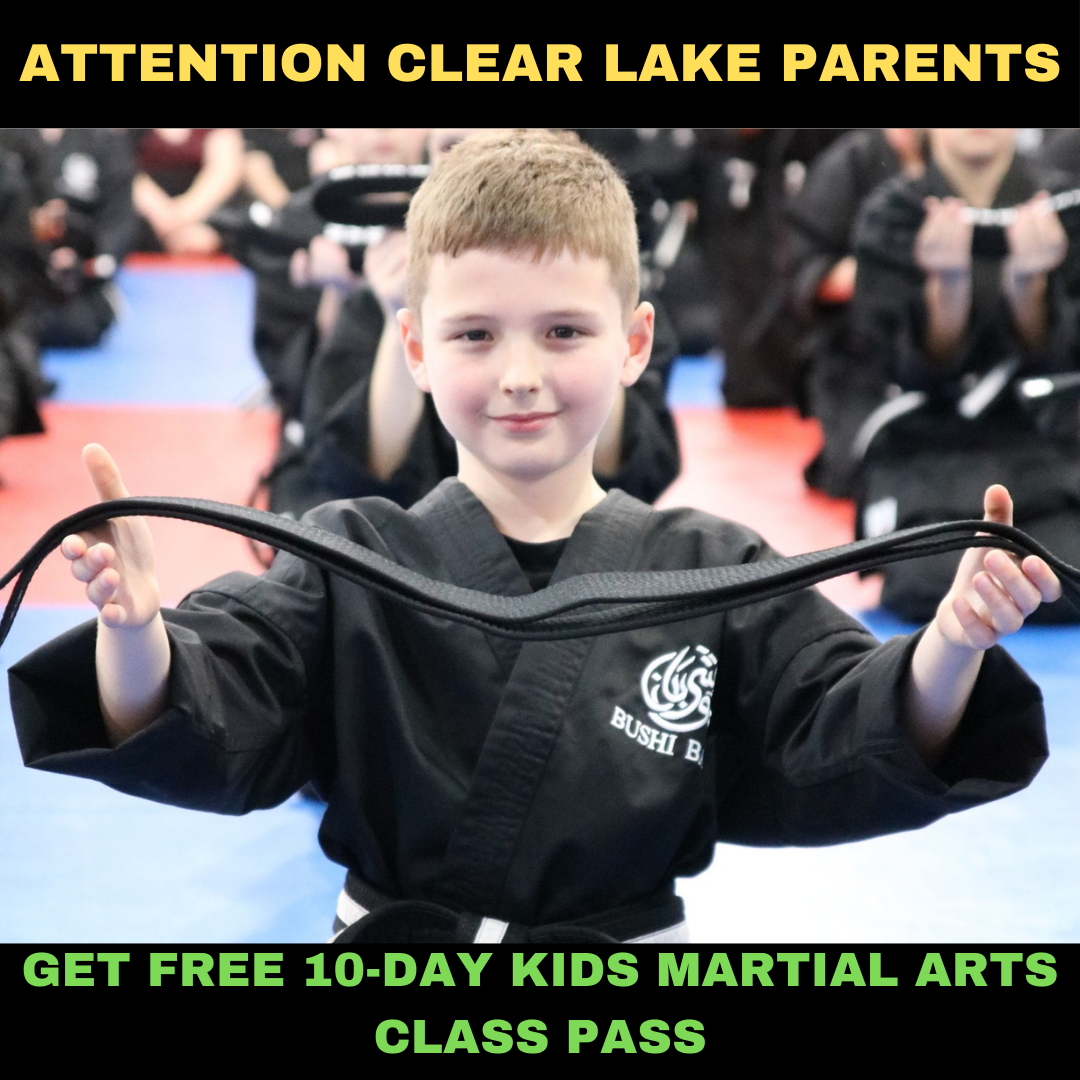 Bushi Ban Clear Lake Facebook ad: Want a FREE 10-Day, Kids Martial Arts Class Pass?