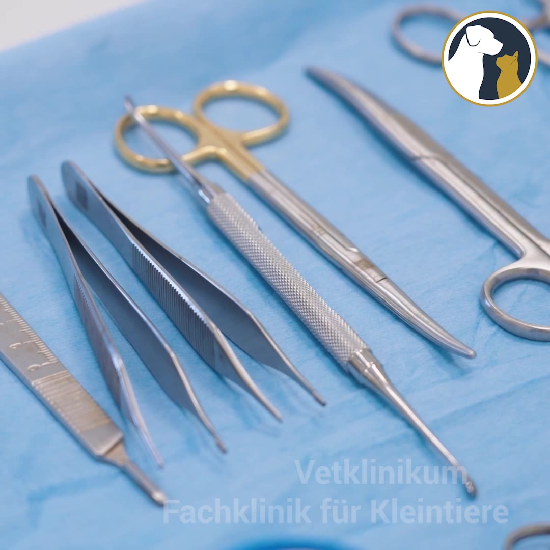 Vetklinikum Facebook ad: Vetklinikum - Fachklinik für Kleintiere