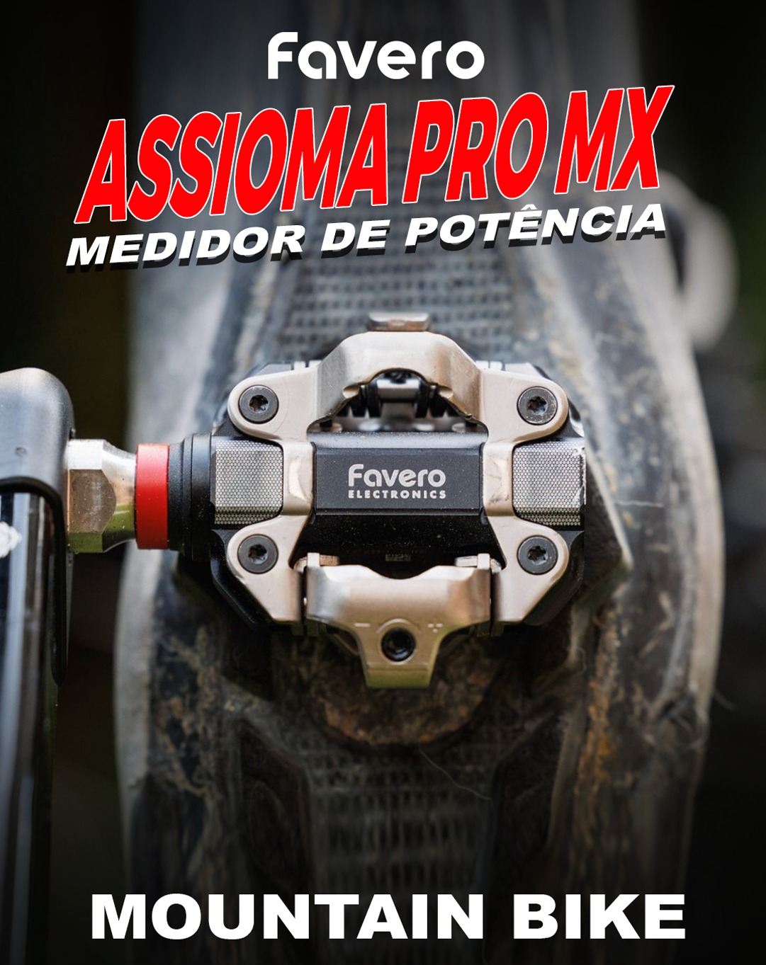 Cervélo Brasil Facebook ad