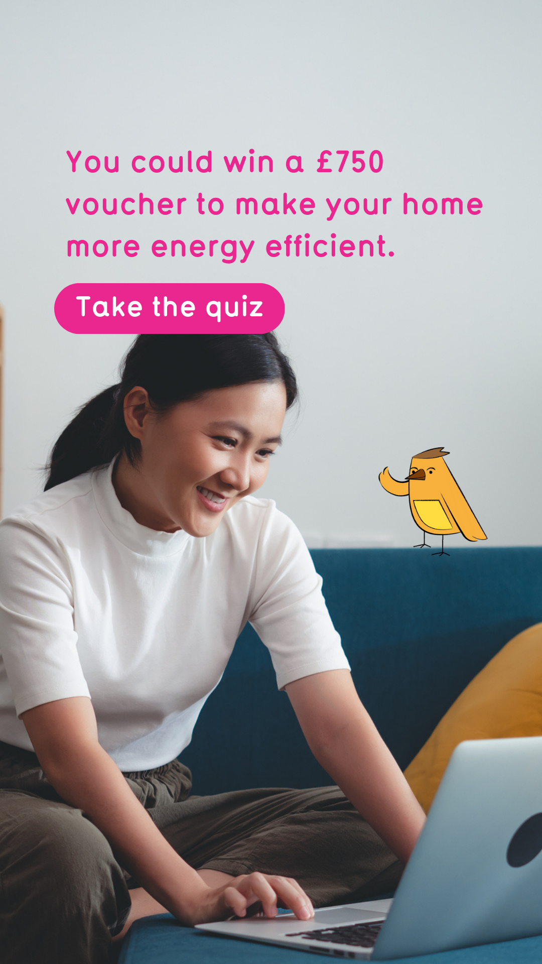 Nest Wales - Nyth Cymru Facebook ad