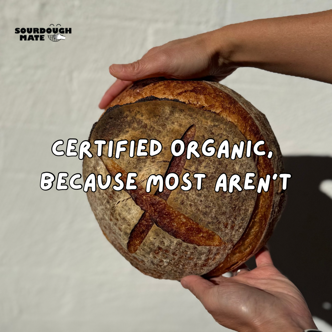 Sourdough Mate Facebook ad: Start Baking Organic Sourdough within Days