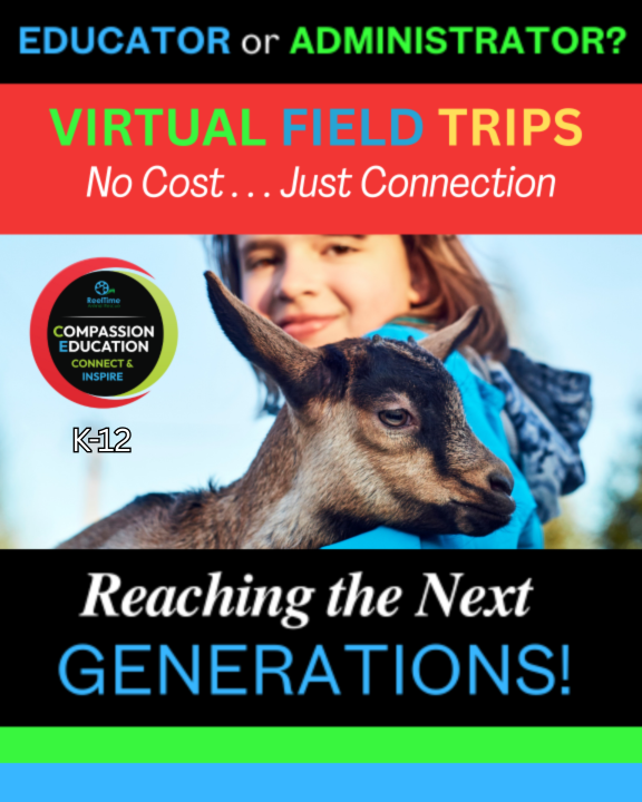 ReelTime Animal Rescue, LLC Facebook ad