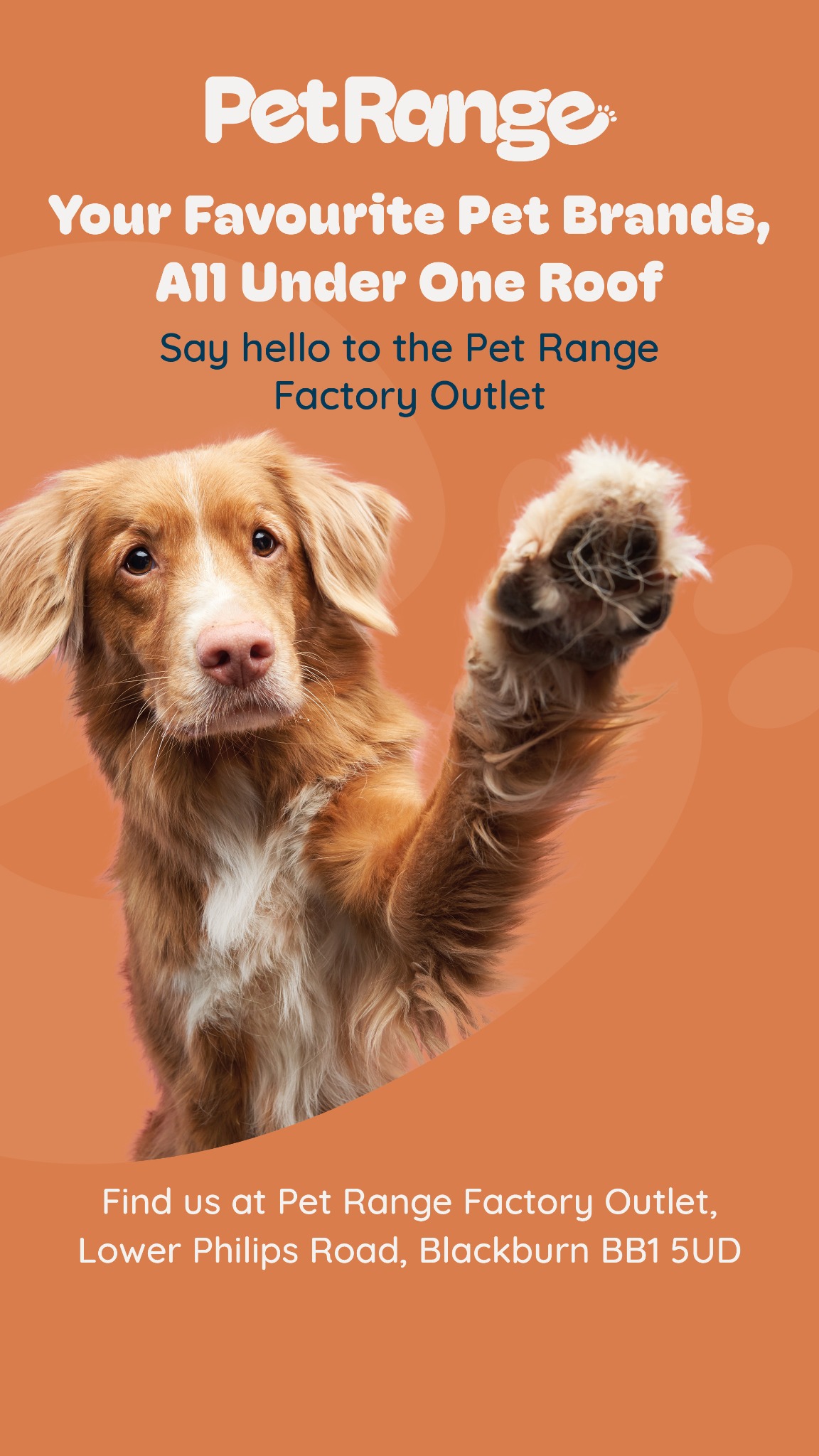 Webbox Pet Food Facebook ad