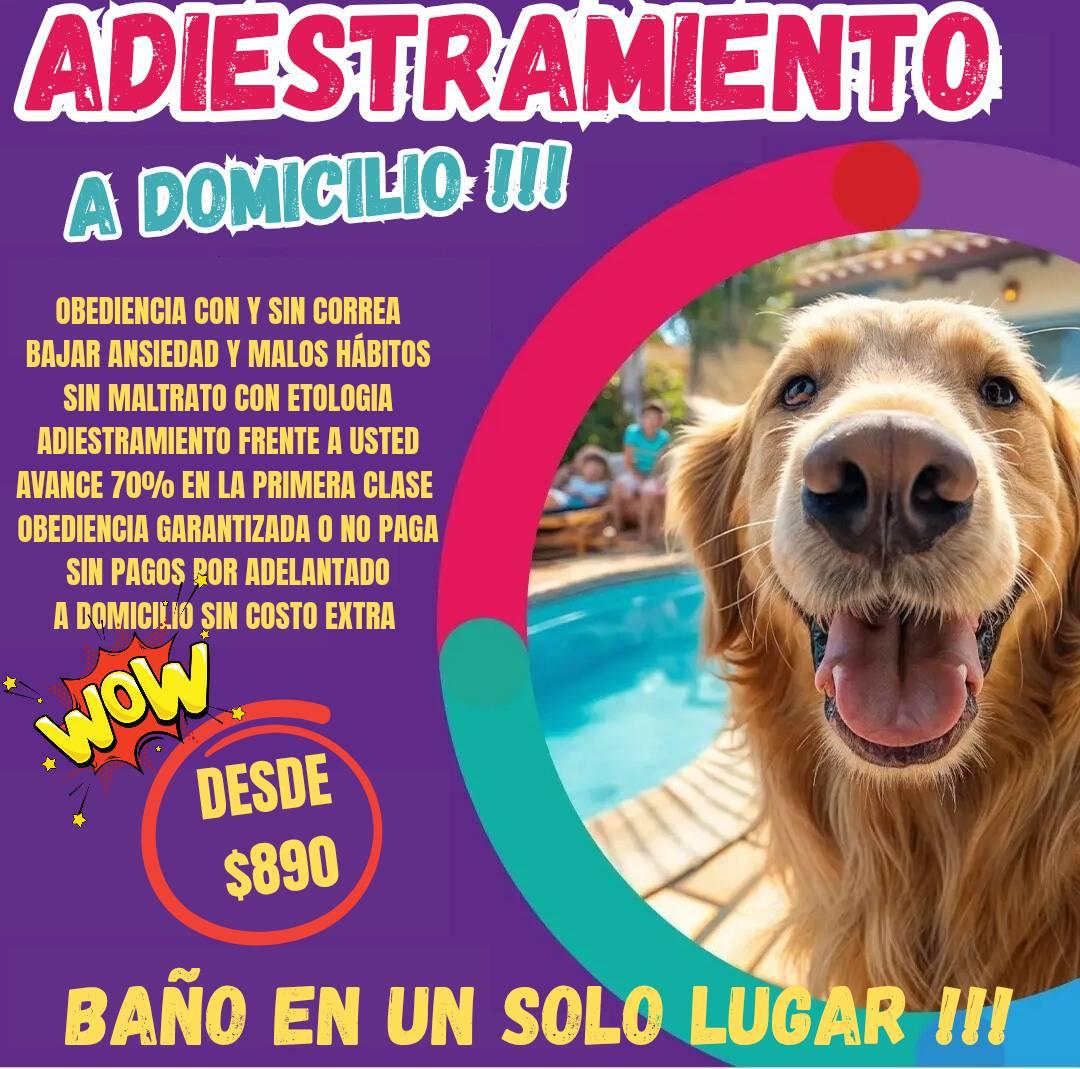 Huellas Adiestramiento Facebook ad: somos una empresa dedicada a la educación canina…