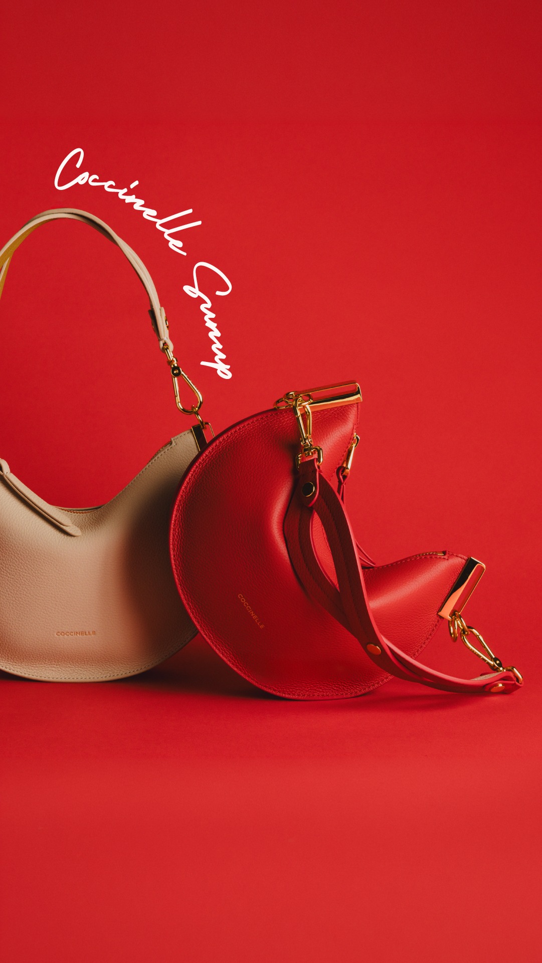 COCCINELLE Facebook ad