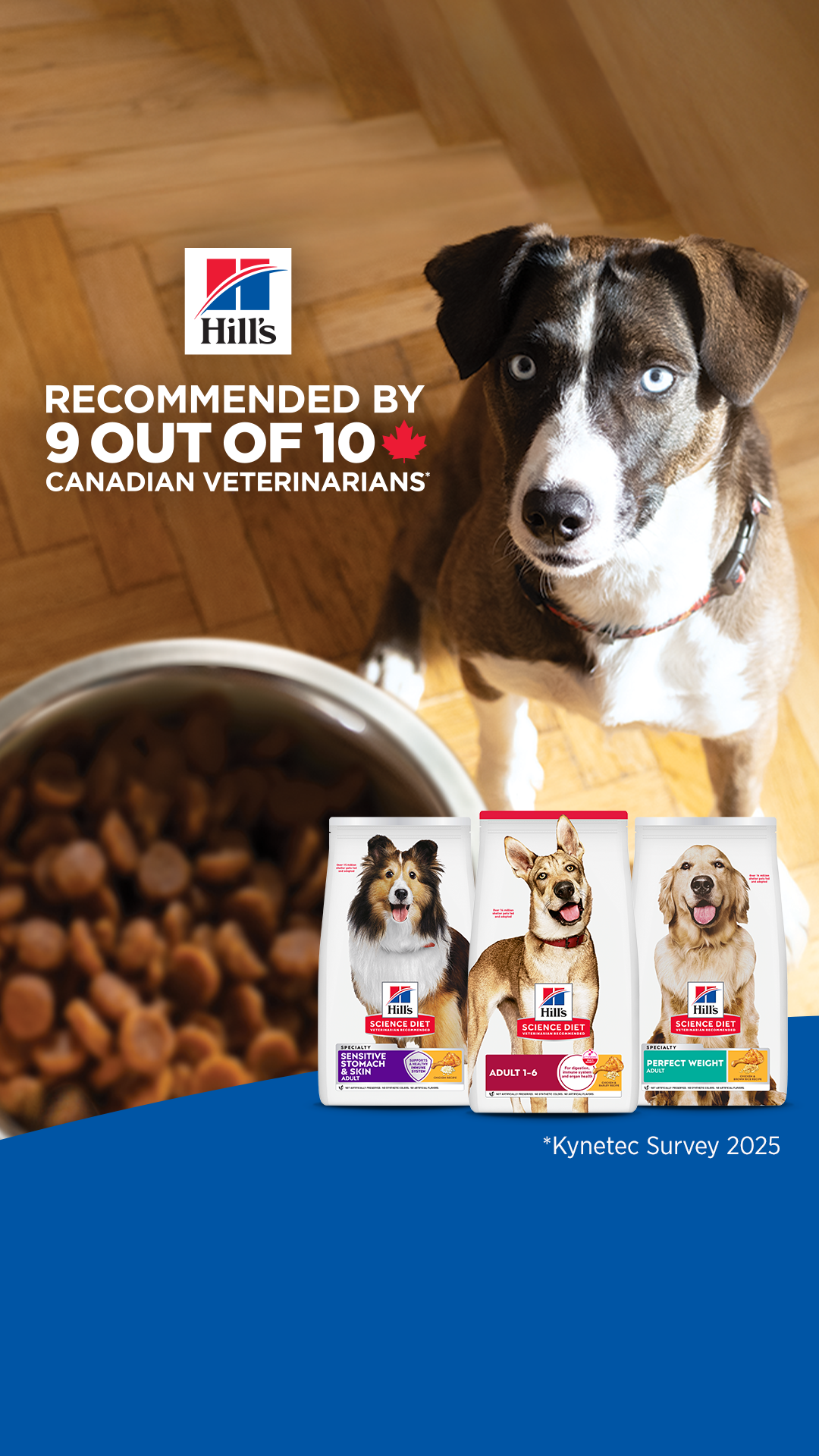 Hill’s Pet Nutrition Facebook ad
