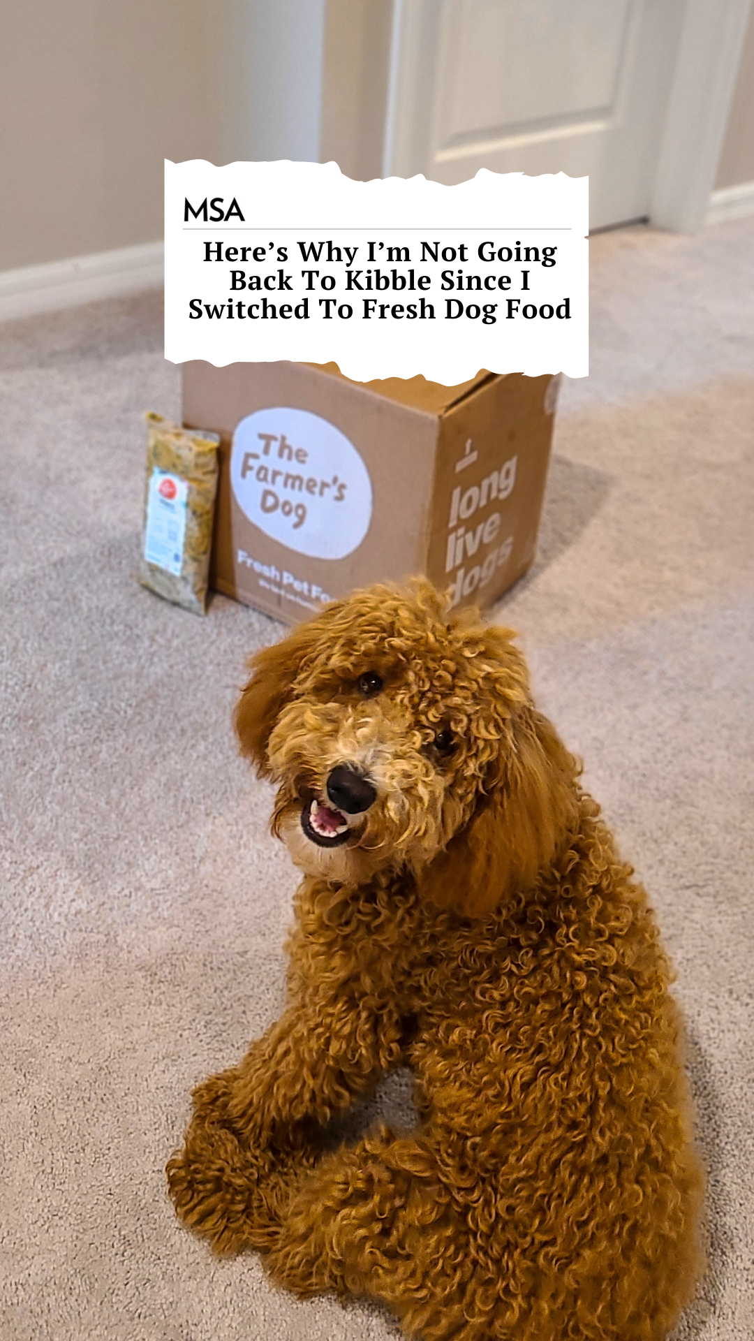 My Subscription Addiction Pets Facebook ad