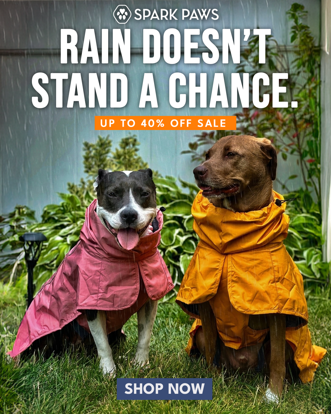 Spark Paws Facebook ad