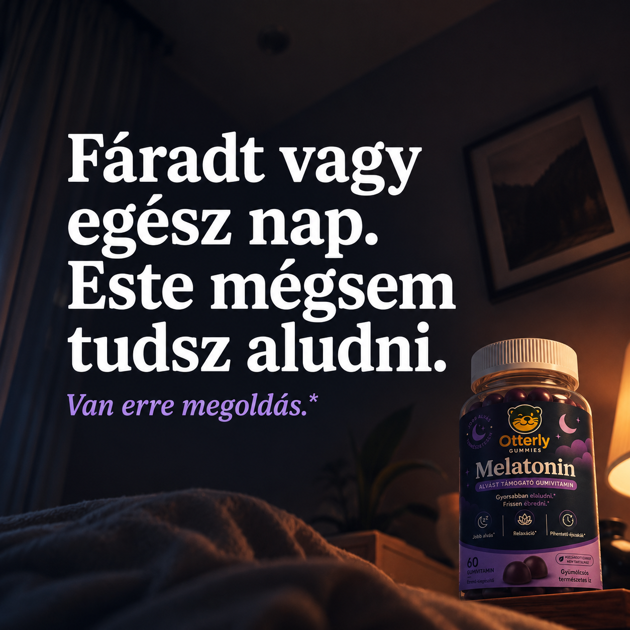 Otterly Facebook ad: Fáradt vagy. Ideje végre aludni.*