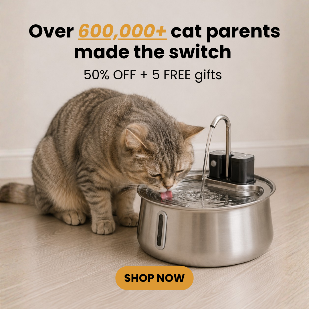 KittySpout Facebook ad