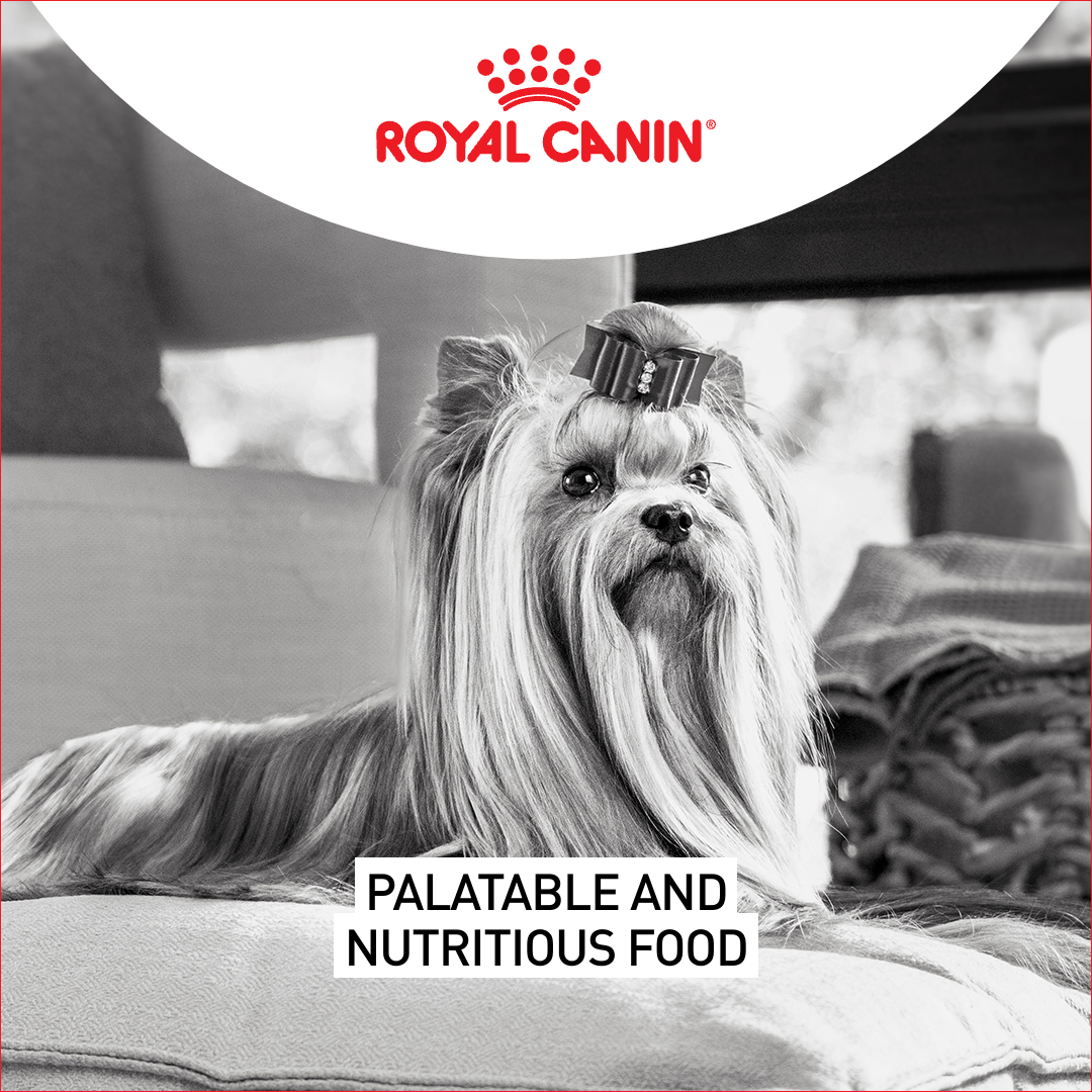 Royal Canin Facebook ad: Royal Canin Breed Health Nutrition formulas are precisely…