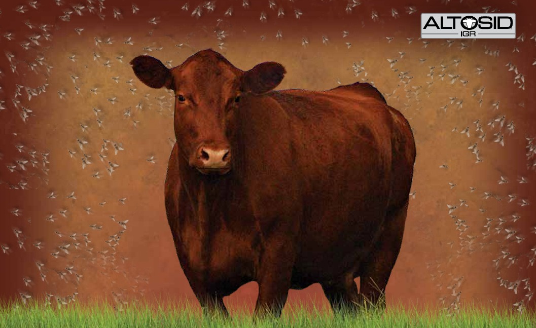 Altosid IGR Facebook ad: Is garlic a no-go for effective fly control?