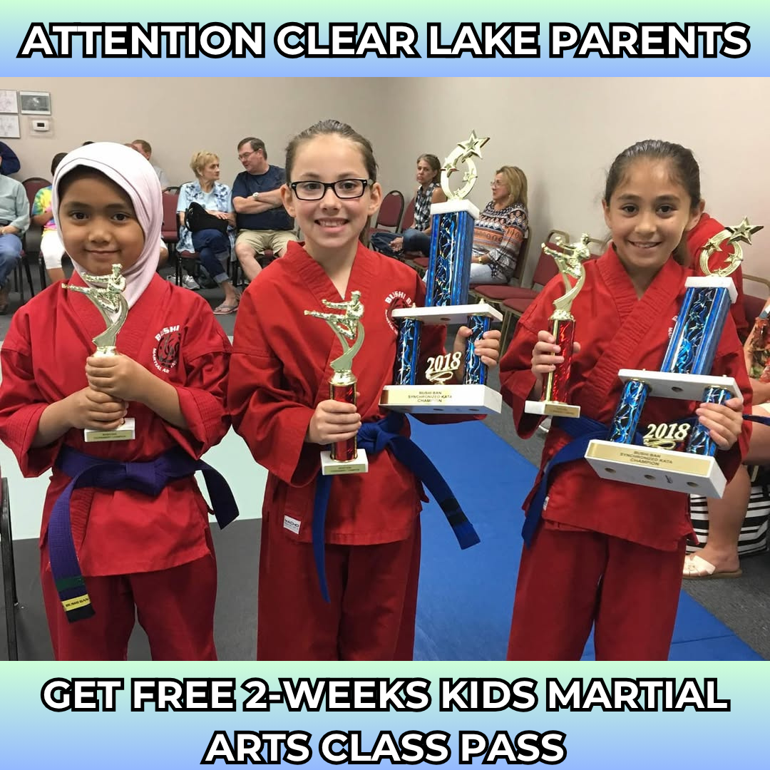 Bushi Ban Clear Lake Facebook ad: Want a FREE 2-Week, Kids Martial Arts Class Pass?
