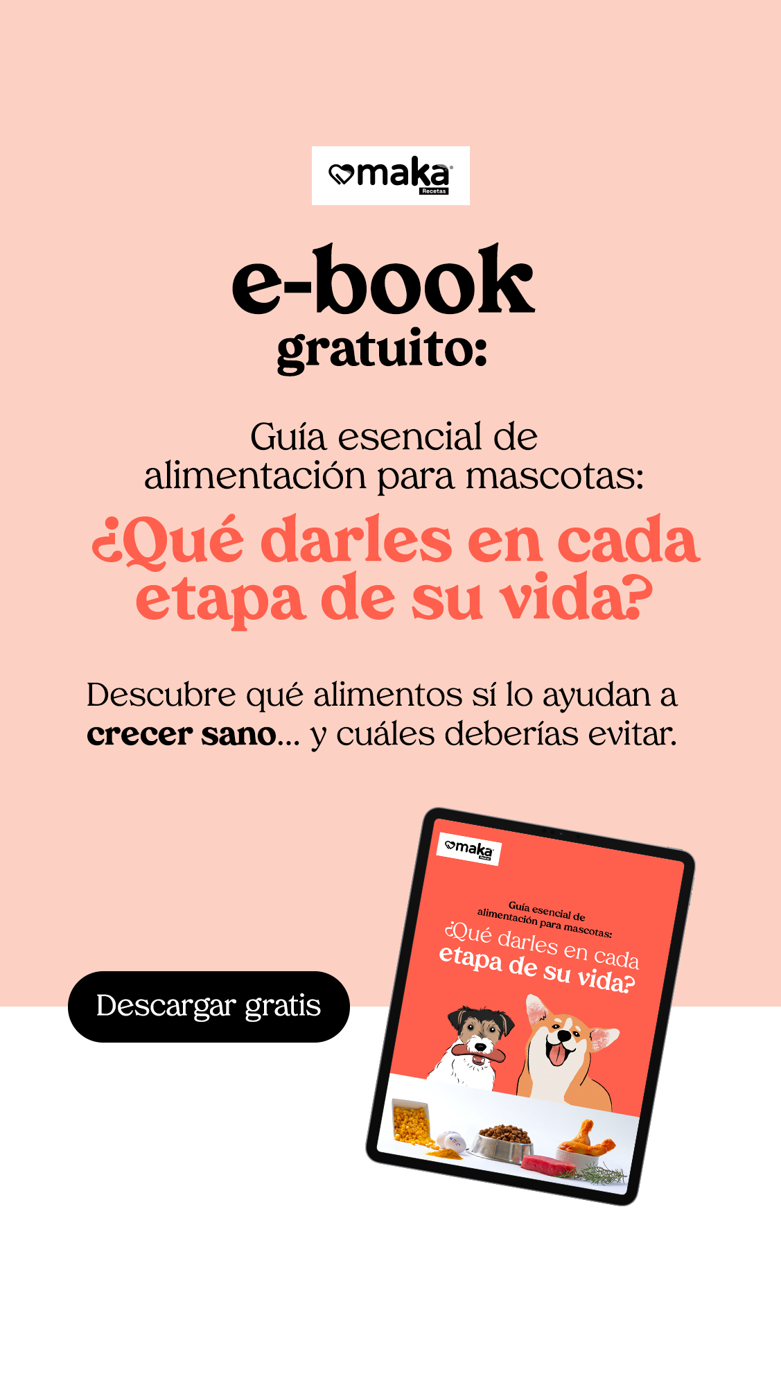 Maka Recetas Facebook ad