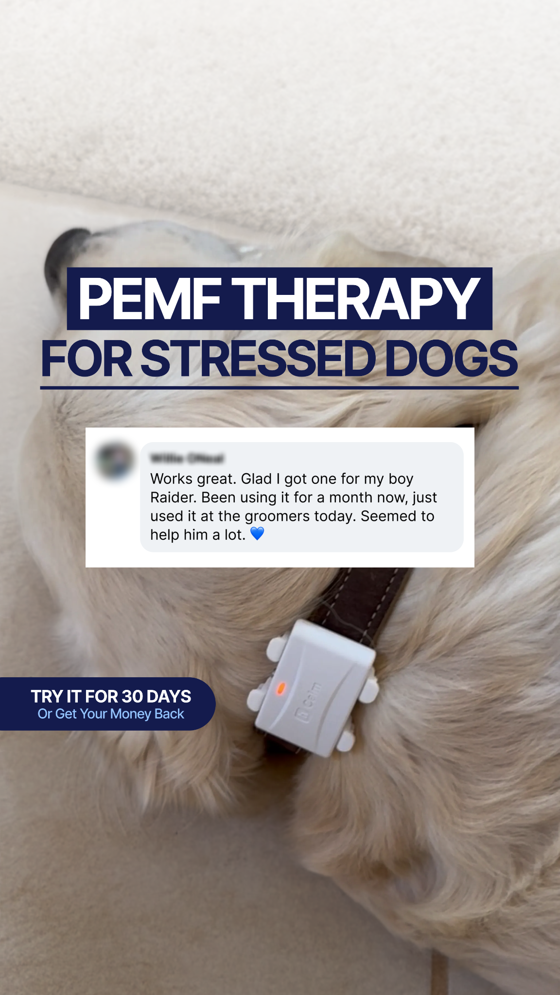 Helio Pet Facebook ad