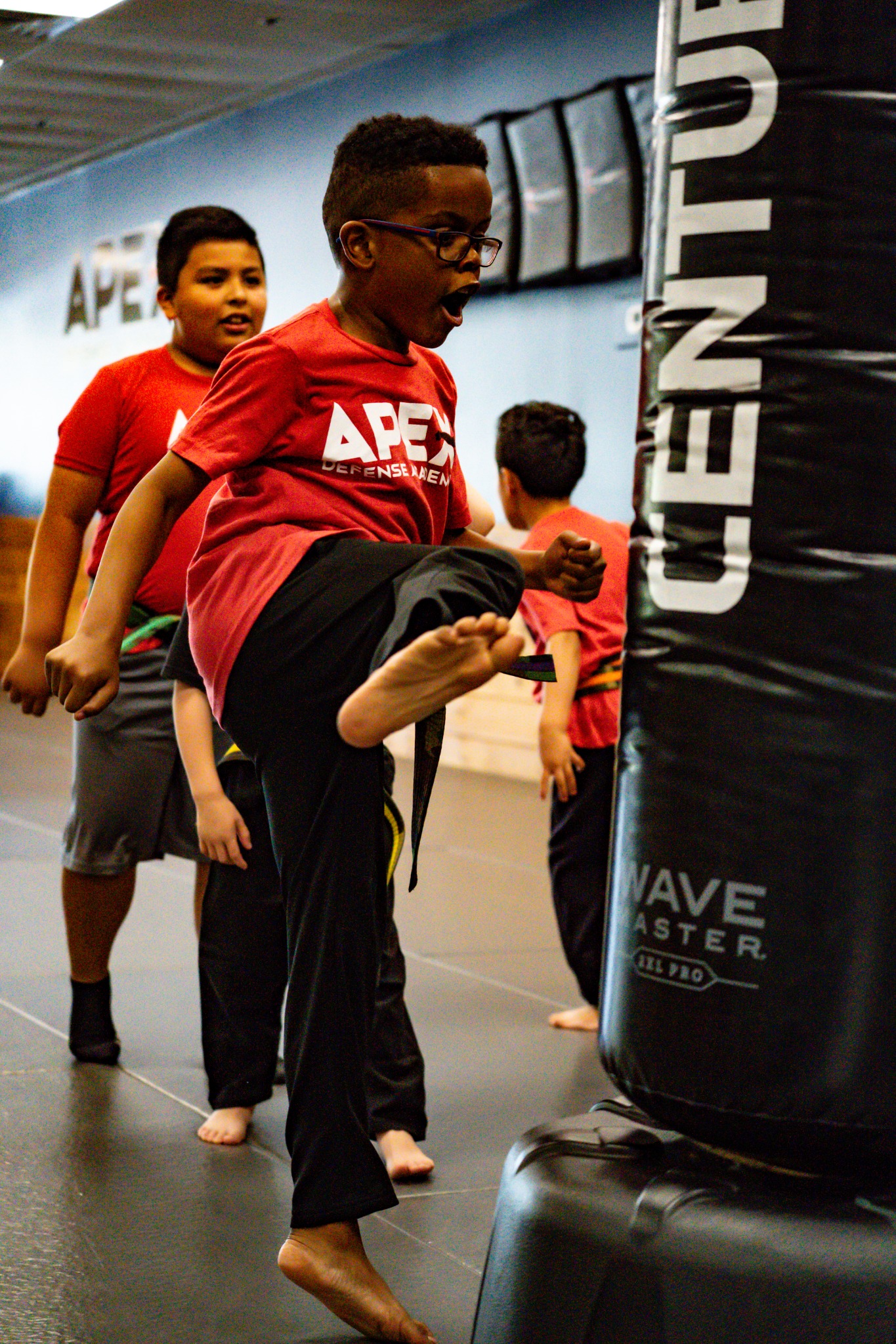 Apex Defense Academy HQ Waltham Facebook ad: Karate Classes for Ages 6 to 8