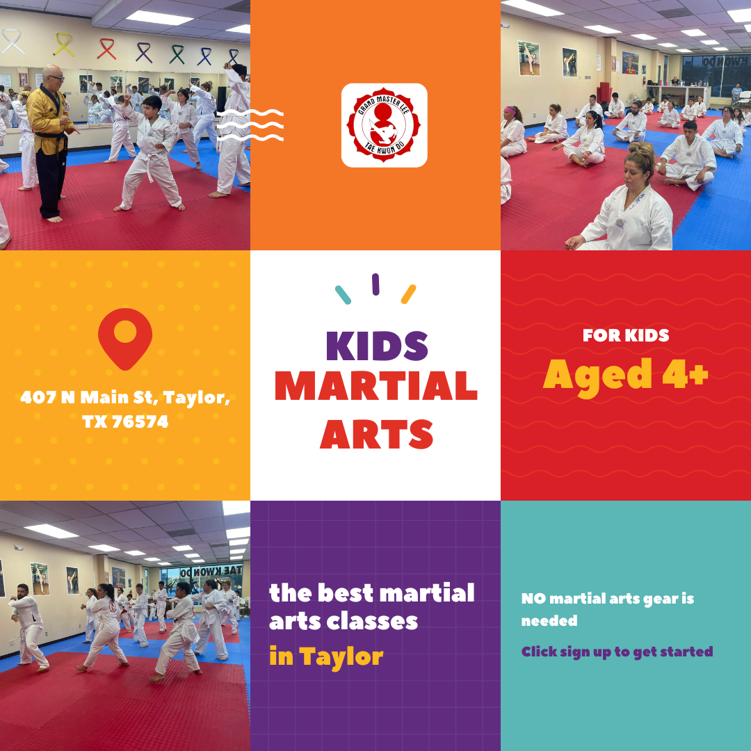 Grand Master Lee Tae Kwon Do Facebook ad