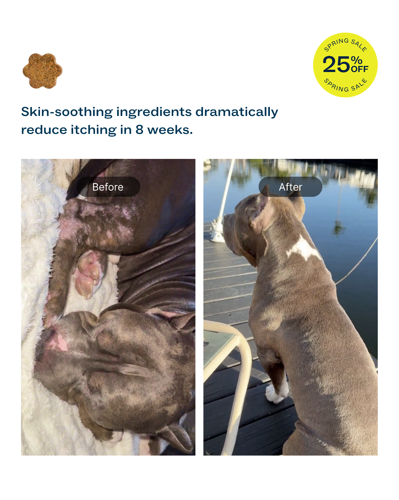 Dog is Human Facebook ad
