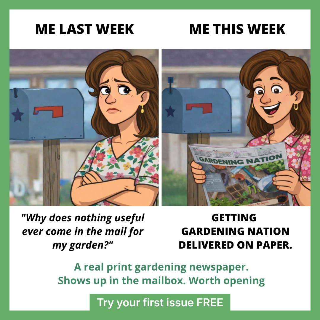 The Kindness Company Facebook ad