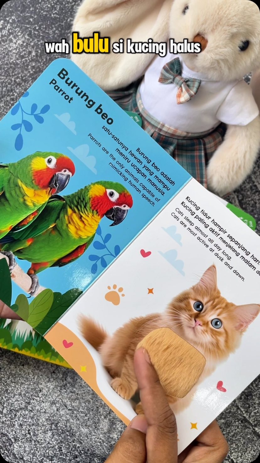 happybunnybooks Facebook ad: Buku sensory hewan terbaruuuuu dengan pengenalan macam2…