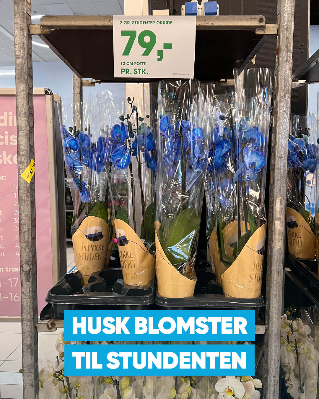 Bilka Ishøj Facebook ad