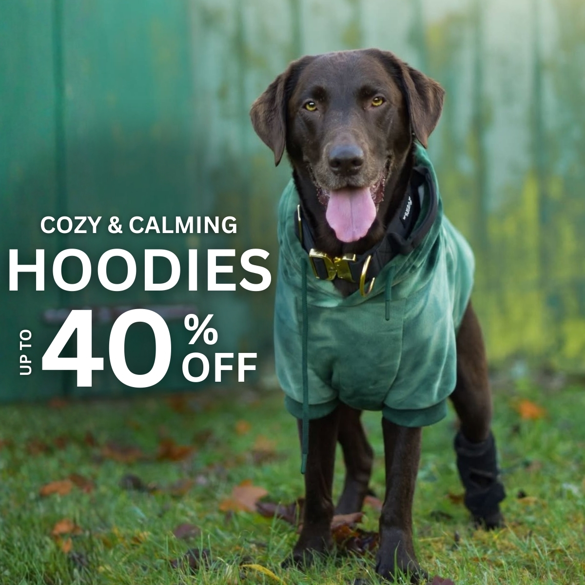Spark Paws Facebook ad