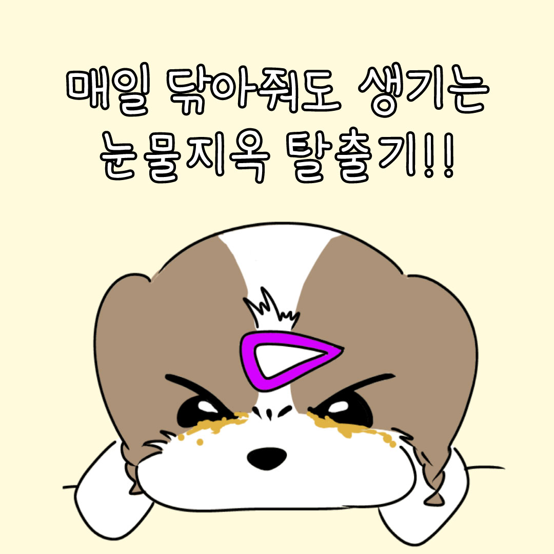 멍스타그램 Facebook ad: 마싯츄로 눈물자국 탈출 후기