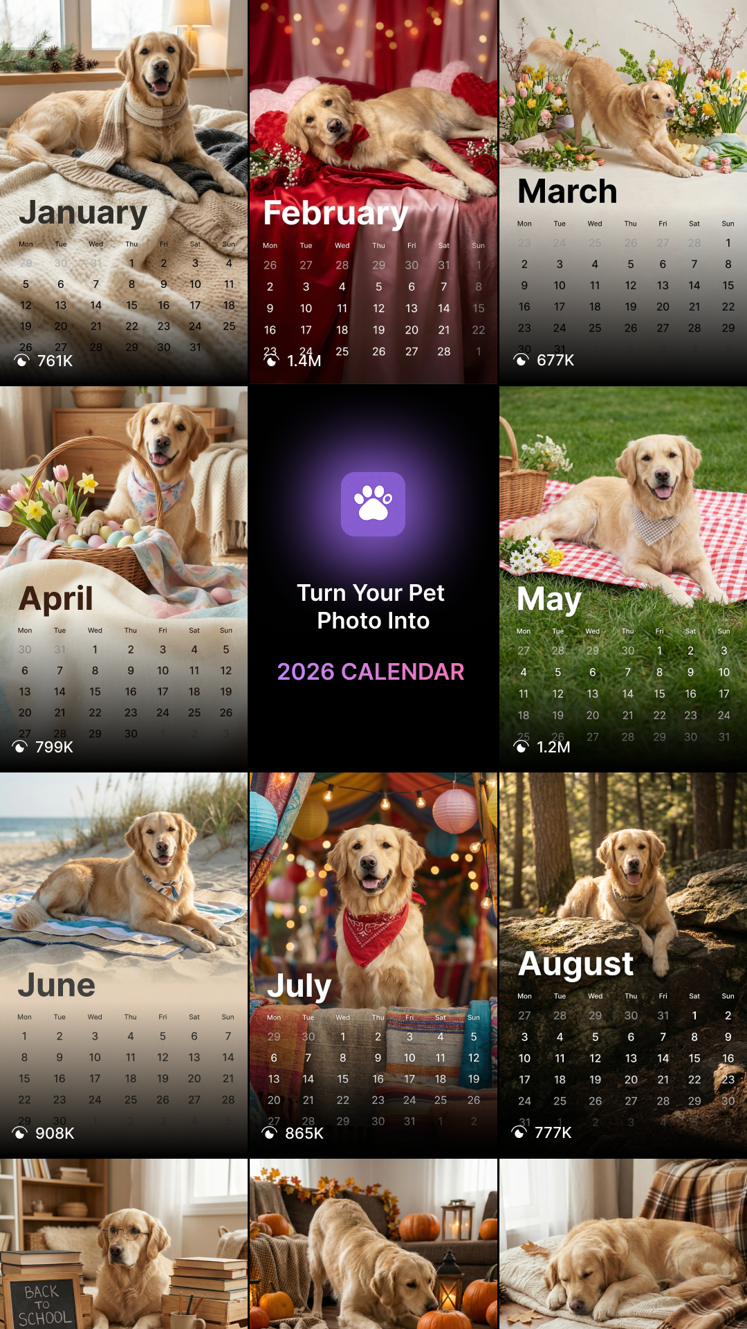 My Pet Year Facebook ad from Jan 4, 2026