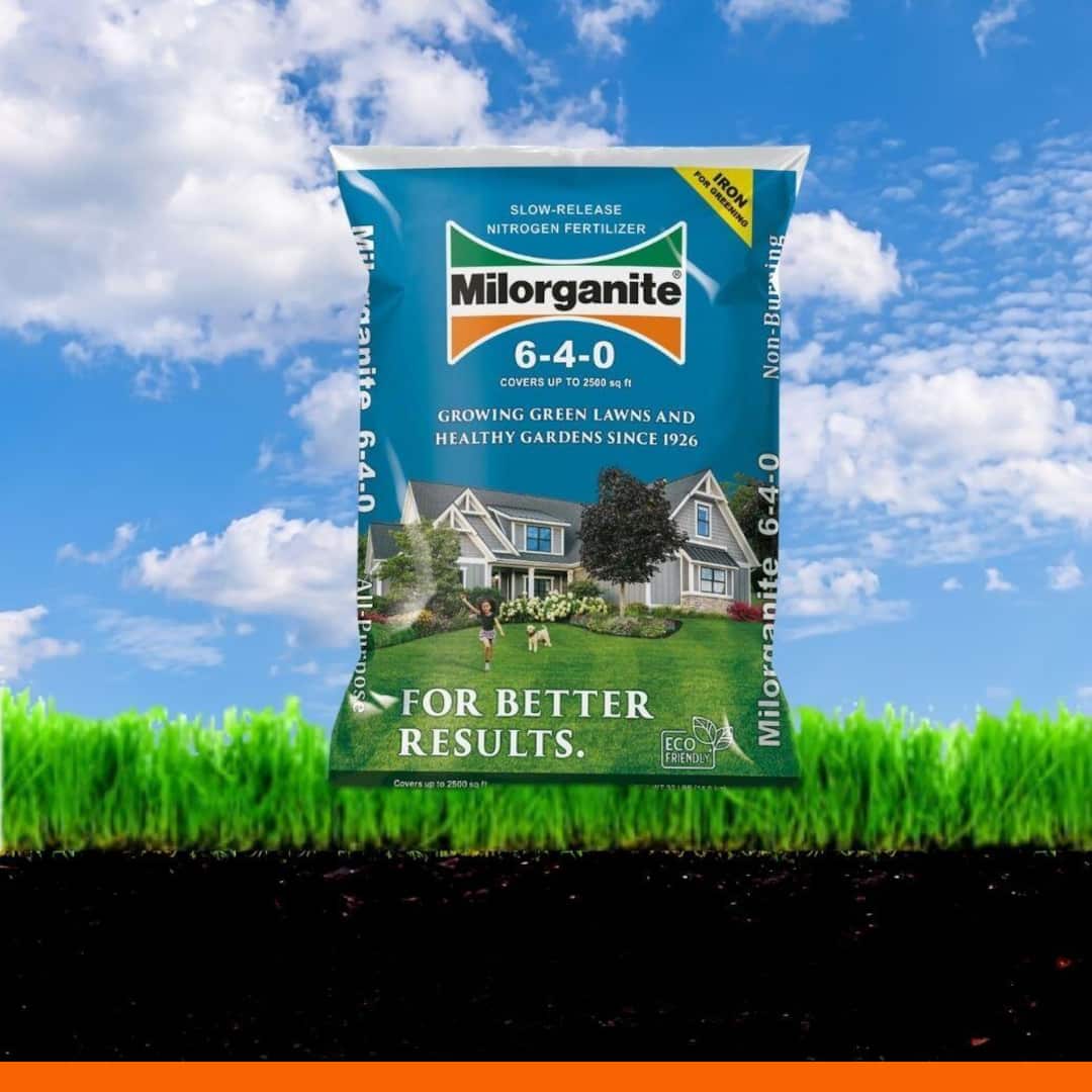 The Home Depot Facebook ad
