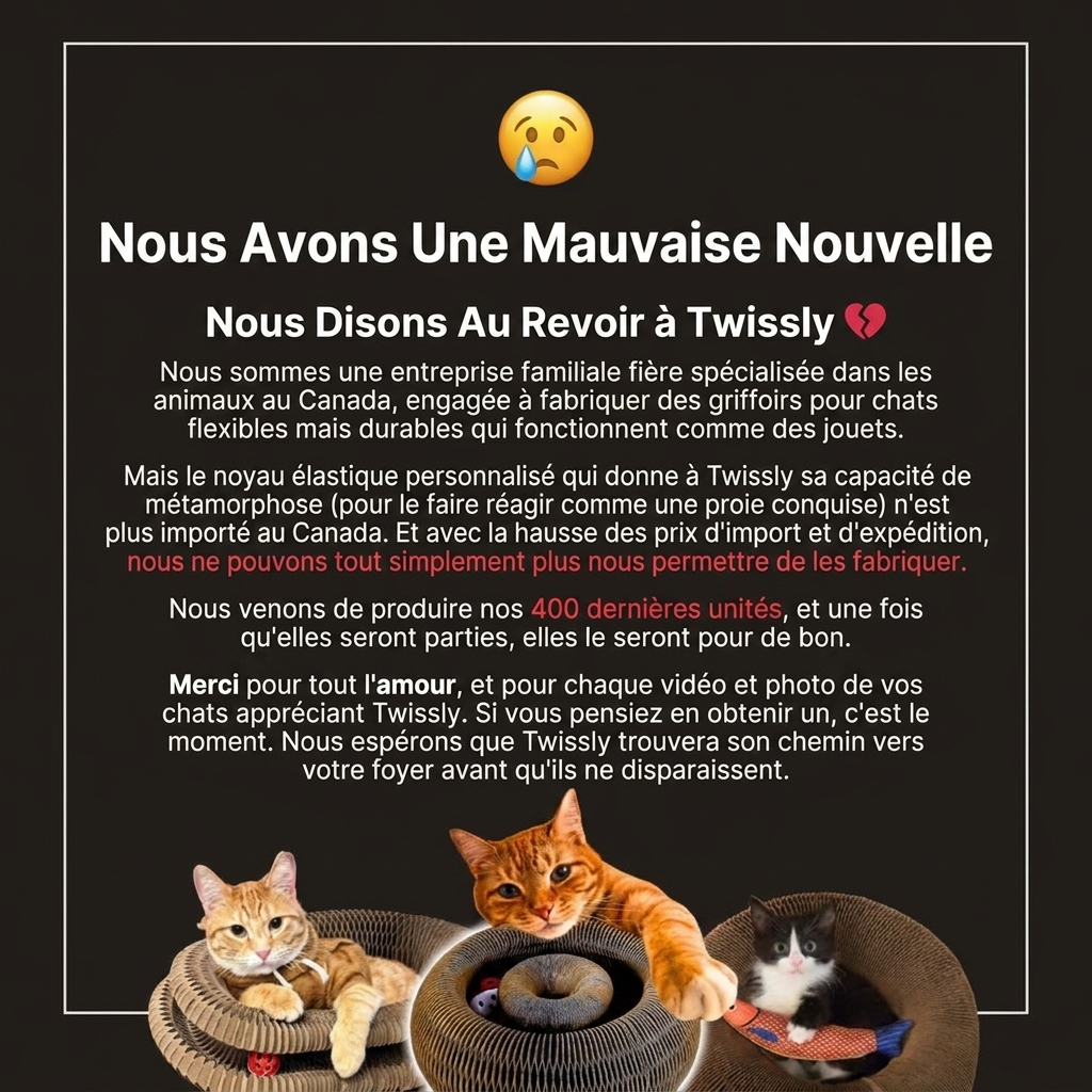 Saamoa Facebook ad: C'est EXACTEMENT ce qui manquait à votre chat