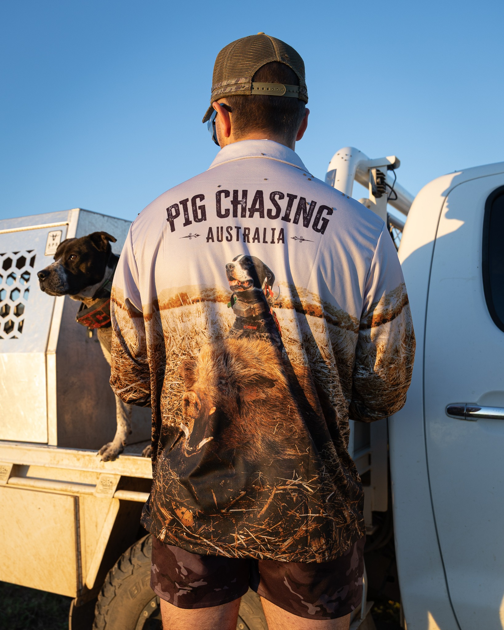 Pig Chasing Australia Facebook ad